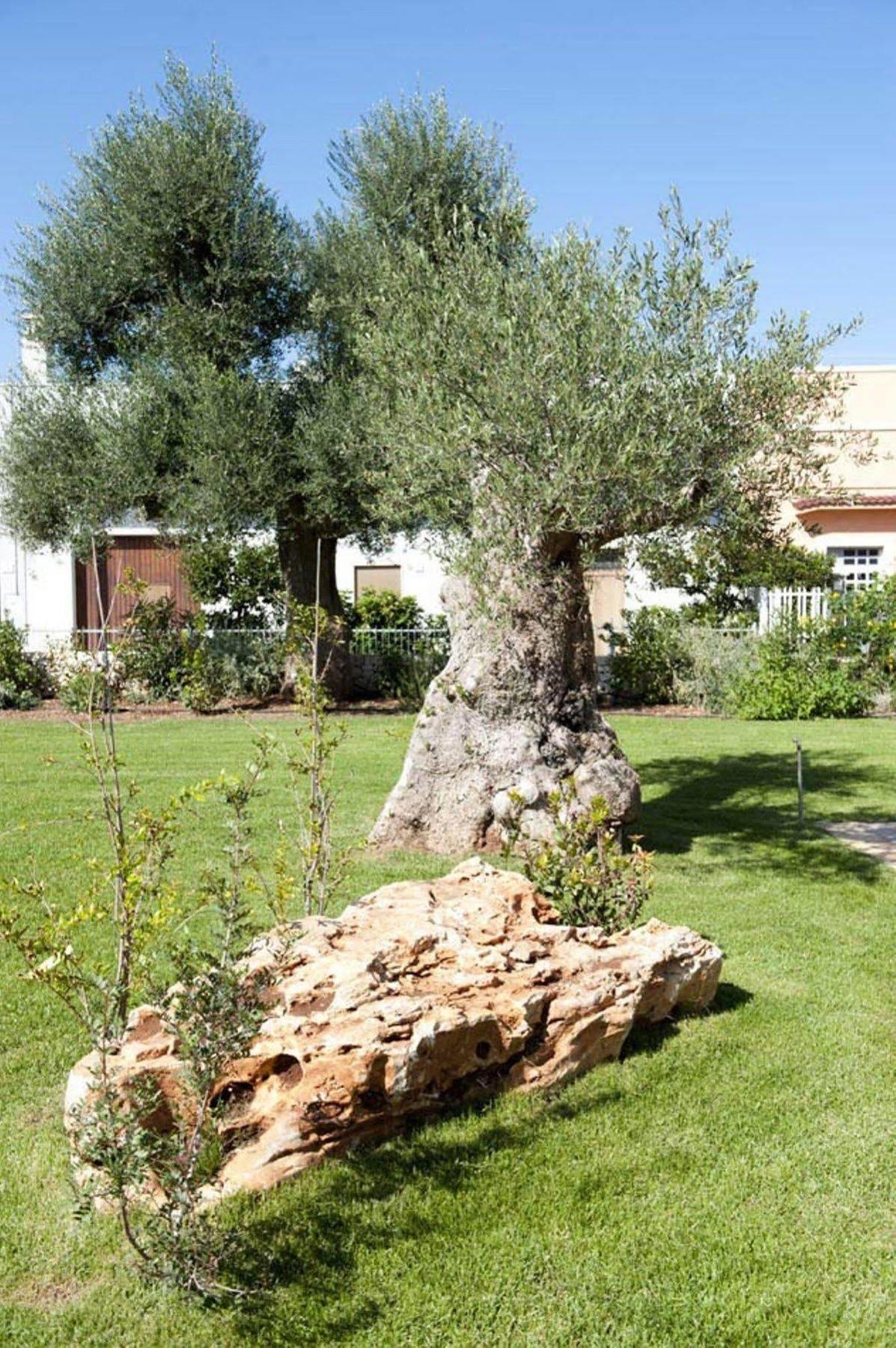 Penzion Donna Lucrezia Pezze Di Greco Exteriér fotografie